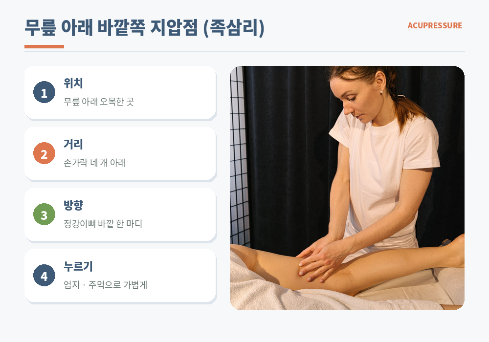 소화불량 지압점 무릎 아래 족삼리 위치 정강이뼈 바깥쪽 손가락 네 개