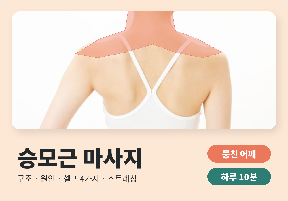 승모근 마사지 방법, 승모근마사지 4가지와 뭉친 승모근 푸는 스트레칭