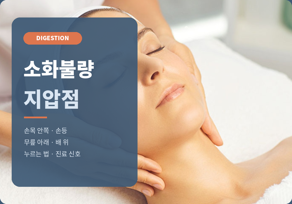 소화불량 지압점 가이드 | 손목·손등·무릎 아래·배 위 위치와 누르는 법